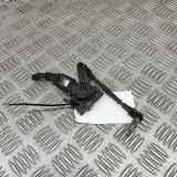 Höhenstandsensor hinten links AUDI Q8 (4MN) 3.0 50 TDI Mild Hybrid quattro 4M0941309K 4M0907503