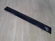 Windschott Nissan X-Trail II (T31)