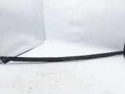 Zier-/Schutzleiste für Türscheibe Chrysler 300 C Touring (LX, LE) 04805889AC