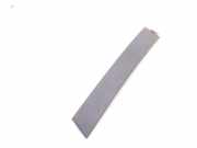 Türverkleidung rechts vorne BMW X5 (E53)