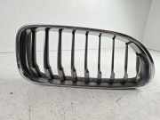 Vorderer oberer Gitter BMW 6 Gran Coupe (F06) 640 d 7370390