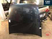 Motorhaube Audi A6 (4F, C6) 4F0823029F