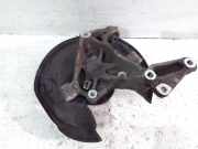 Radlagergehäuse rechts hinten VW Passat B7 (362) 3C0505436F