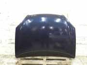 Motorhaube Citroen C5 I Break (DE)