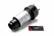 Gasdruckfeder Jaguar XJ (X350, X358) C2D11405