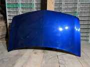 Motorhaube RENAULT MEGANE II (BM0/1_, CM0/1_) 1.9 dCi (BM0G, CM0G)