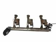 Einspritzleiste Ford Fiesta VII (HJ, HF) DM5G9H487AC