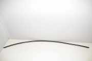 Dachleiste links TESLA MODEL 3 EV 1083519