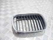 Vorderer oberer Gitter BMW 5 (E39) 525 tds