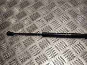 Gasfeder für Motorhaube Volvo XC70 II (136) 3802019