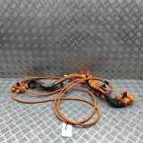 Kabelbaum SKODA ENYAQ iV SUV (5AC, 5AZ) 80X 4x4 1EA971013M 1EA013V1