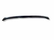 Heckklappenspoiler TOYOTA RAV 4 III (_A3_) 2.2 D 4WD (ALA30_) ACA30