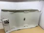 Dachverkleidung KIA NIRO EV