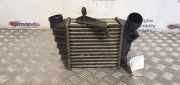 Ladeluftkühler Skoda Fabia (6Y) 6Q0145804