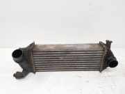 Ladeluftkühler RENAULT KANGOO Express (FW0/1_) 1.5 dCi 90 (FW0G) 144963234R
