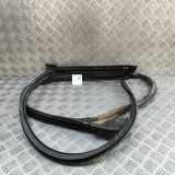 Türgummi links vorne Audi Q8 (4M) 4M8831707