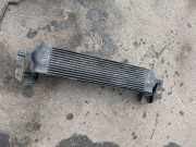 Ladeluftkühler NISSAN X-TRAIL (T31) 2.0 dCi 14461JG70B