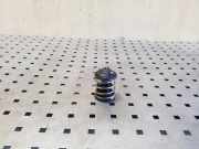 Thermostat BMW X3 (F25) xDrive 20 d