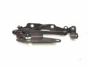 Heckklappescharnier links