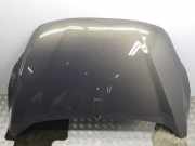 Motorhaube Ford C-Max II (DXA)