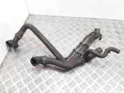 Schlauch Kühlung VW GOLF VIII (CD1) 1.0 TSI