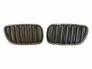 Vorderer oberer Gitter BMW X3 (E83) xDrive 35 d 3420087