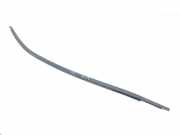 Zier-/Schutzleiste für Türscheibe Seat Leon ST (5F)