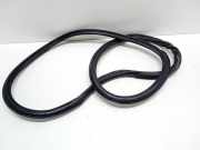 Türdichtung Audi A3 Cabriolet (8V) 8V4833721B