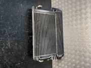 Kühler Skoda Fabia III (NJ) 6R0155806H