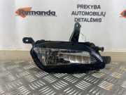 Nebelscheinwerfer links vorne Opel Zafira Tourer C (P12) 662588537