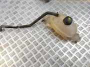 Ausgleichsbehälter RENAULT MASTER III Furgon (FV) 2.3 dCi 125 FWD (FV0C, FV0D) 217100015R