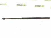 Gasfeder für Motorhaube Mercedes-Benz SLK (R171) 1719800164