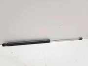 Heckklappe Gasdruckfeder links RENAULT LAGUNA II (BG0/1_) 1.9 dCi (BG08, BG0G) 8200025317C