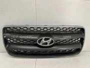 Gitter Grill vorne links HYUNDAI SANTA FÉ II (CM) 2.2 CRDi GLS E865612B010