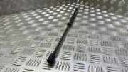 Heckklappe Gasdruckfeder links AUDI A3 (8V1, 8VK) 1.6 TDI 8V4827552