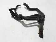 Wasserkühlerschlauch rechts RENAULT SCÉNIC II (JM0/1_) 1.9 dCi (JM0G, JM12, JM1G, JM2C) 8200170888