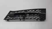 Kühlergrill unten BMW 5er (F10) 7200697