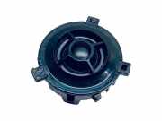 Türlautsprecher hinten links VW TIGUAN (AD1) 1.5 TSI 5NA035412