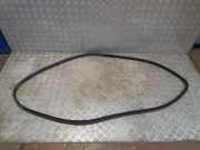 Türgummi links vorne BMW X5 (E70)