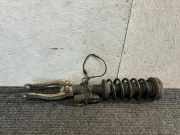 Stoßdämpfer vorne links BMW 5 (G30) 530 d 6866533
