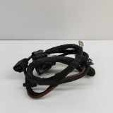 Kabelbaum VW ID.4 (E21) PRO 1EB971111D