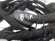 Türverkabelung hinten rechts