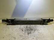 Ladeluftkühler FIAT PUNTO (188_) 1.3 JTD 16V 866452000