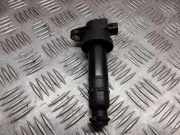 Zündspule HYUNDAI i30 Estate (FD) 1.4 273012B000