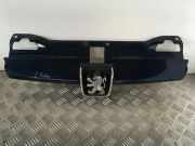 Vorderer oberer Gitter PEUGEOT 406 Coupe (8C) 2.0 16V 1851485101 9616258477