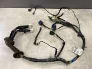 Kabel der vorderen linken Tür NISSAN PATHFINDER III (R51) 2.5 dCi 4WD 24124EB304