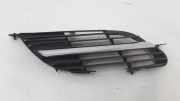 Vorderer oberer Gitter NISSAN ALMERA TINO (V10) 2.2 dCi