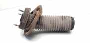 Hintere Federgummiunterstützung FORD TRANSIT Furgon (FA_ _) 2.4 TDE YC1518183AG