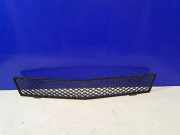 Gitter vorne unten MERCEDES-BENZ R (W251, V251) R 320 CDI 4-matic (251.022, 251.122) A2518850953