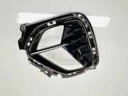 Gitter vorne unten KIA NIRO E-NIRO 86664g5500